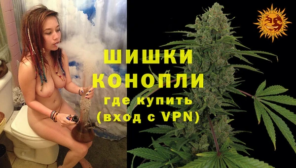 трава Горно-Алтайск