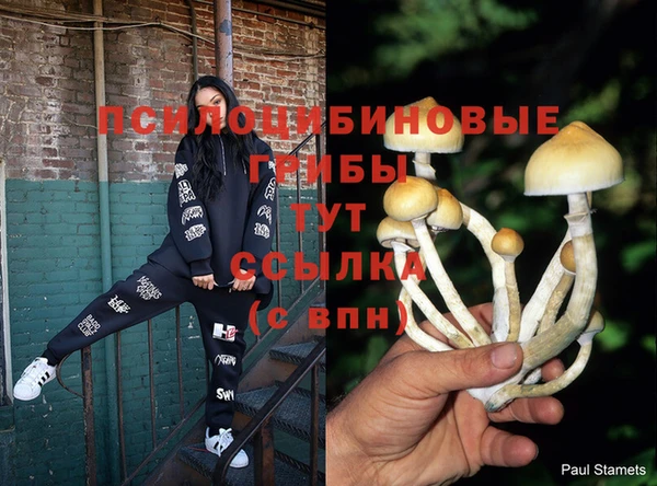 кокаин перу Горняк