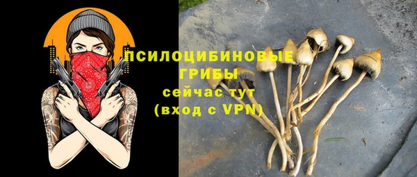 MDMA Premium VHQ Вяземский