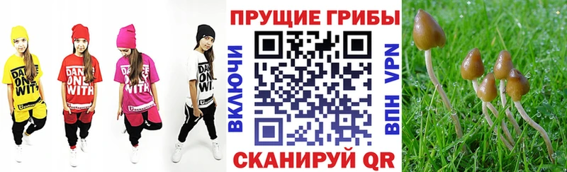 Псилоцибиновые грибы прущие грибы  Гагарин 