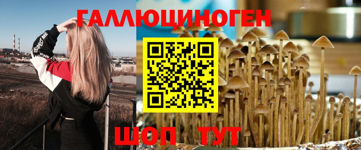 купить закладку  Галлюциногенные грибы Psilocybe  Вход с VPN  Гагарин 