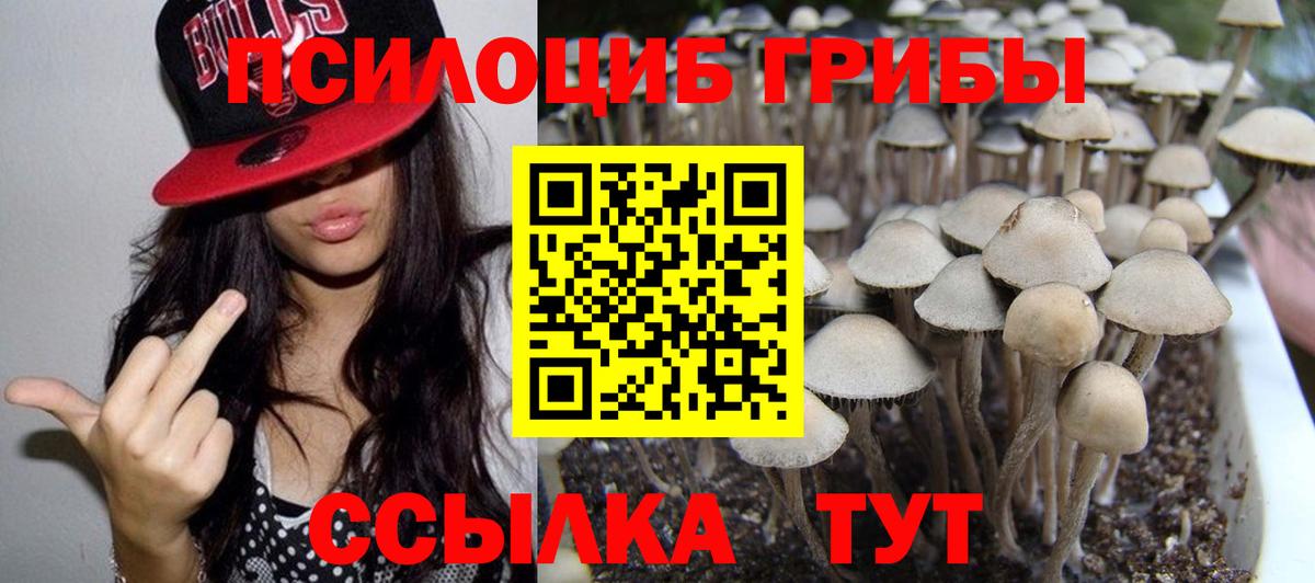 Галлюциногенные грибы GOLDEN TEACHER Гагарин