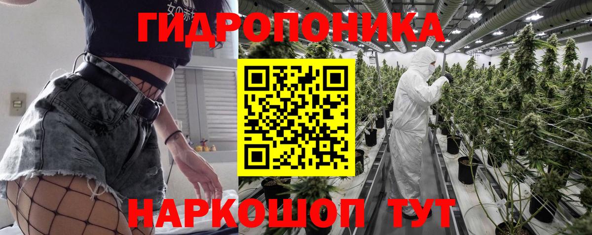 Шишки марихуана Bruce Banner  Вход с VPN  Гагарин  Каннабис индика  Конопля план 